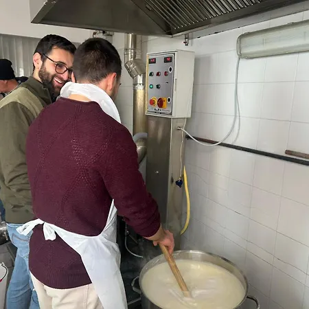 Dama Дом отдыха *