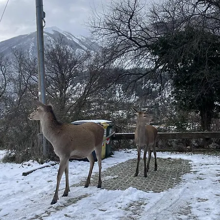 Дом отдыха Dama *